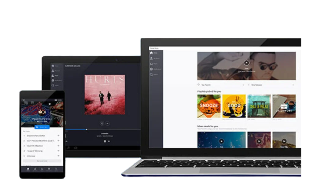 Deezer APK Premium for PC: How to Enjoy Ad-Free Music on Your Computer 12 deezer premium apk